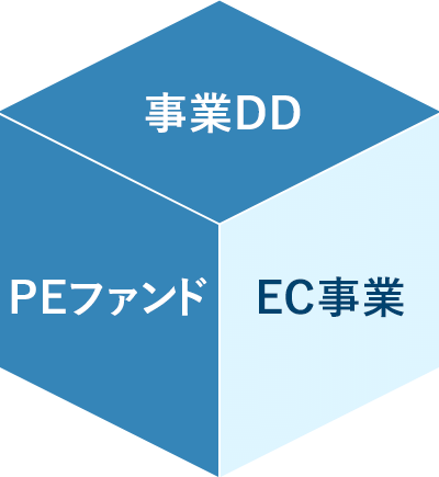 事業DD／PEファンド／EC事業